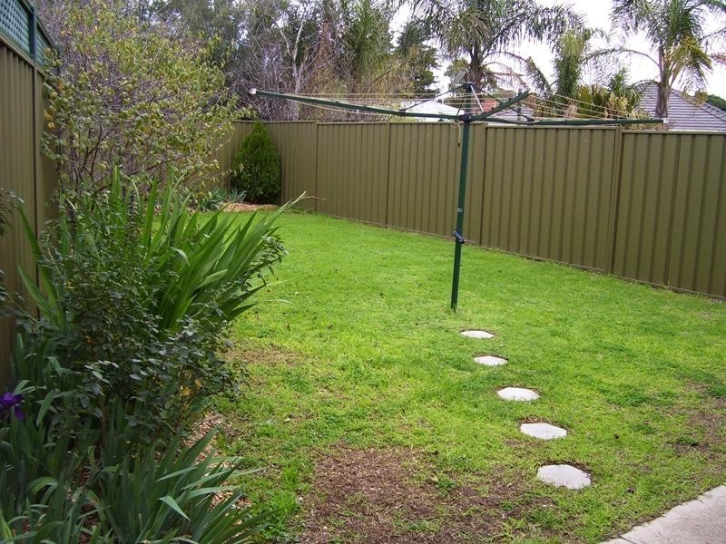 14 Winchester Avenue, Magill SA 5072