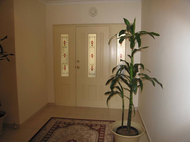 33 North Street, Hectorville SA 5073