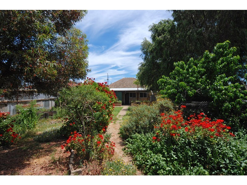 12 Goodall Avenue, Croydon Park SA 5008