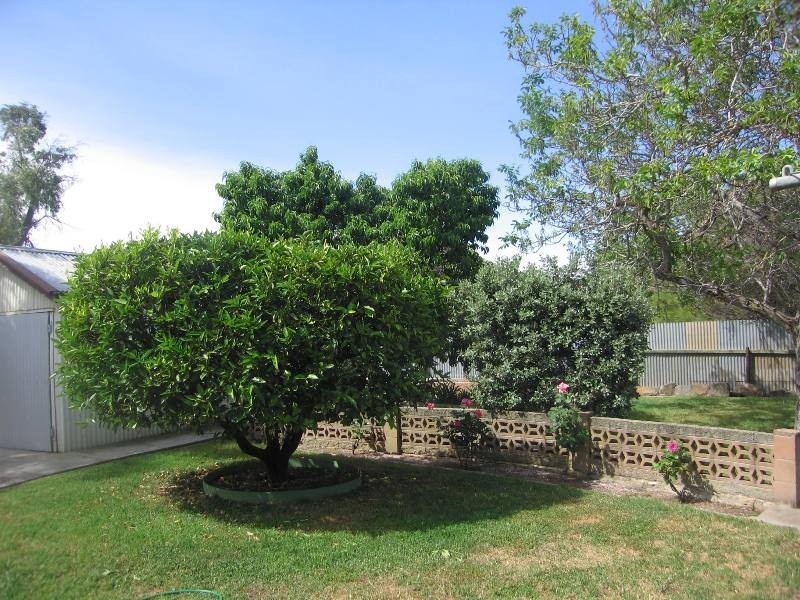 24 Clarence Avenue, Klemzig SA 5087