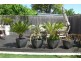 22 Gray Street, Tranmere SA 5073
