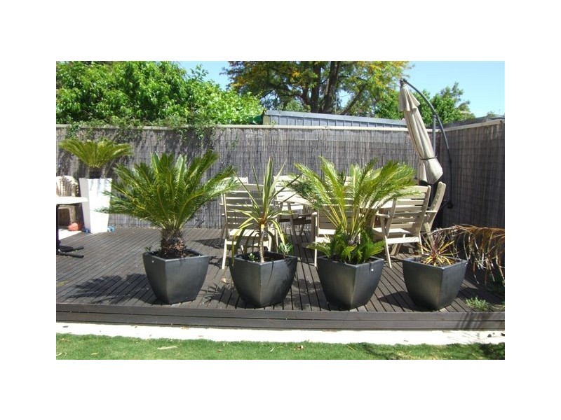 22 Gray Street, Tranmere SA 5073