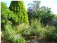 34 The Dress Circle, Athelstone SA 5076