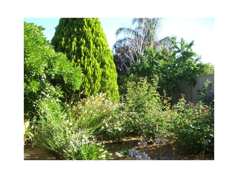 34 The Dress Circle, Athelstone SA 5076