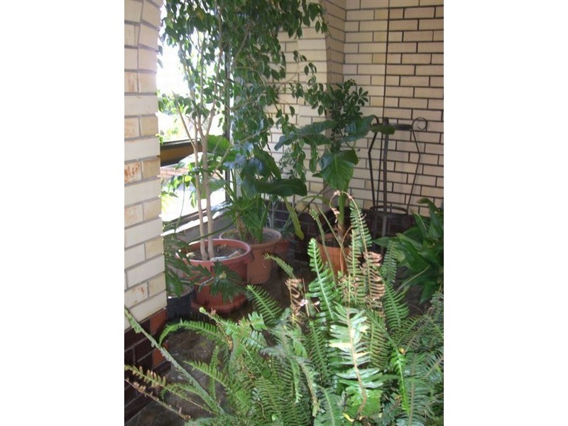 21 Burton Road, Athelstone SA 5076