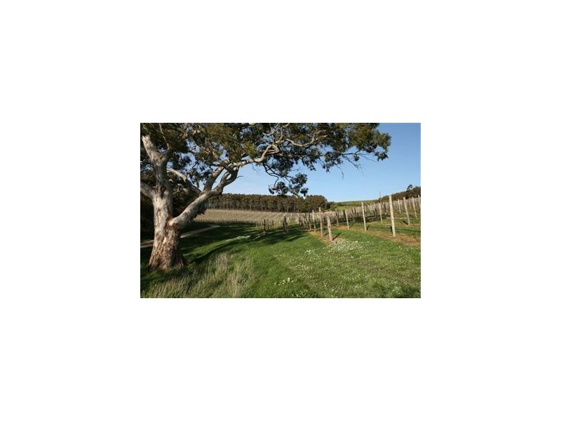 0 Greenhills Road, Meadows SA 5201