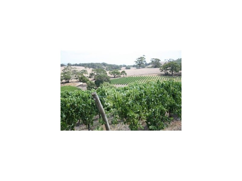 0 Greenhills Road, Meadows SA 5201