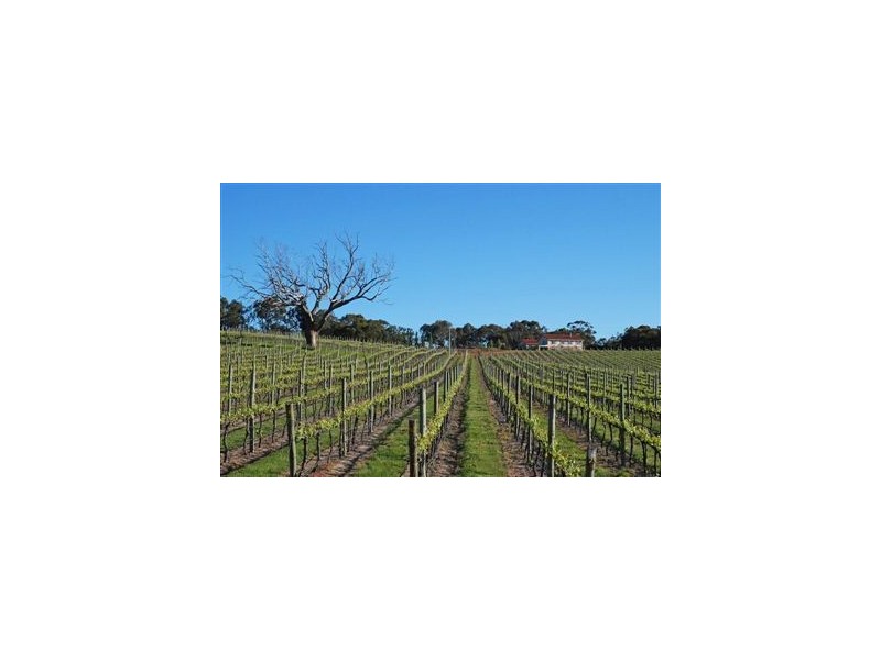 Sec 3351 Davis Road, Macclesfield SA 5153