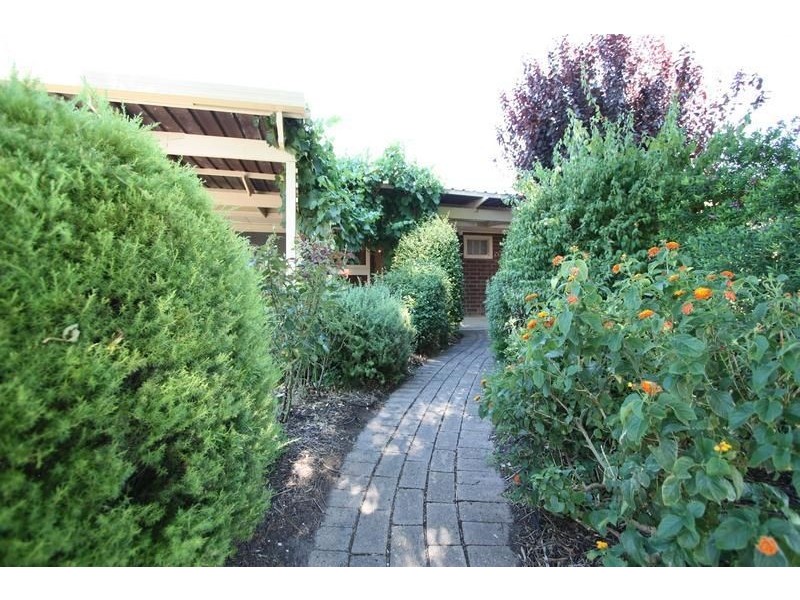 3 Andrea Street, Highbury SA 5089