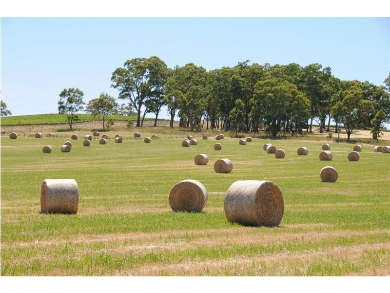 Lot 12 Western Branch Road, Lobethal SA 5241
