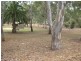 15 Milton Avenue, Tranmere SA 5073