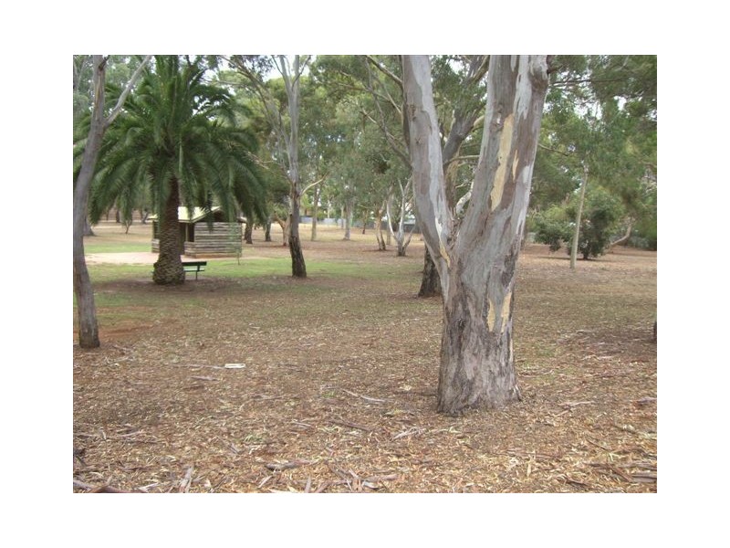 15 Milton Avenue, Tranmere SA 5073