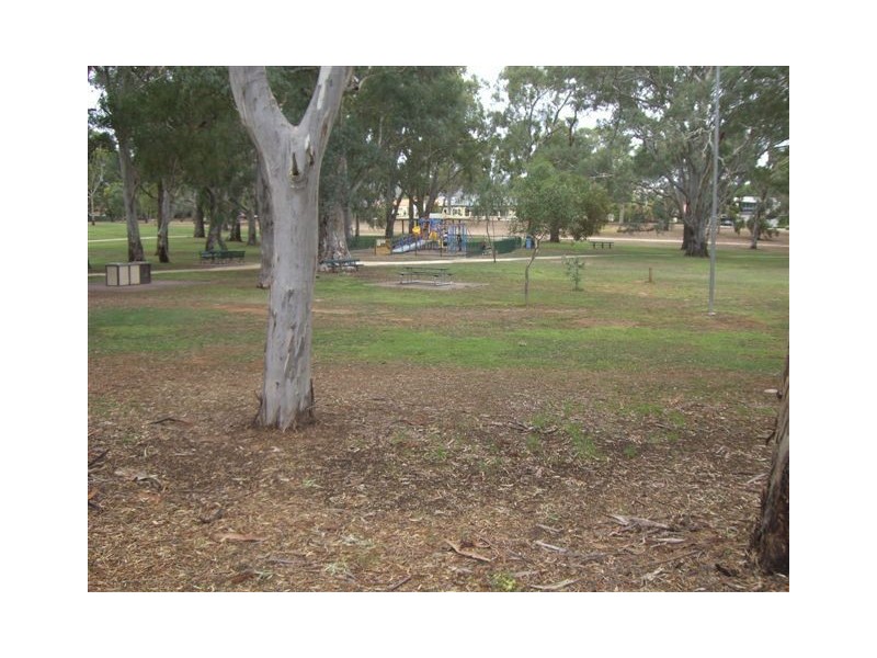 15 Milton Avenue, Tranmere SA 5073