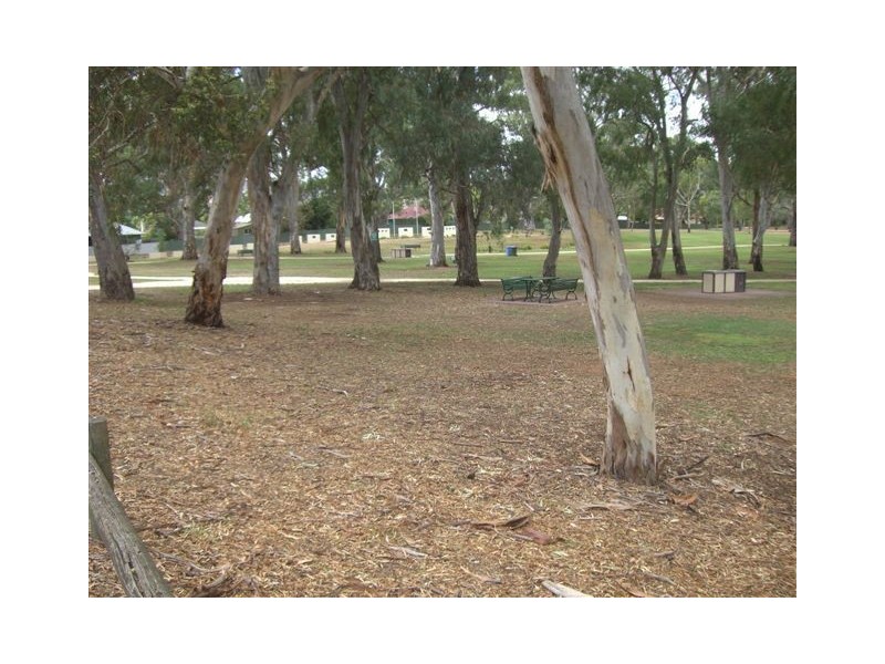 15 Milton Avenue, Tranmere SA 5073