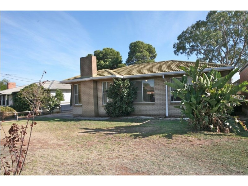 59 Mayfield Avenue, Hectorville SA 5073