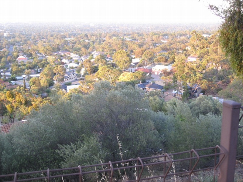 1 Jansen Court, Torrens Park SA 5062