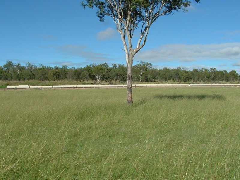 Clarendon QLD 4311