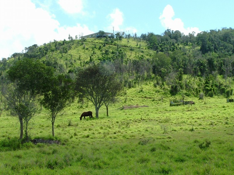 Lot 18 Lark Hill – Boundary Road, Coolana QLD 4311