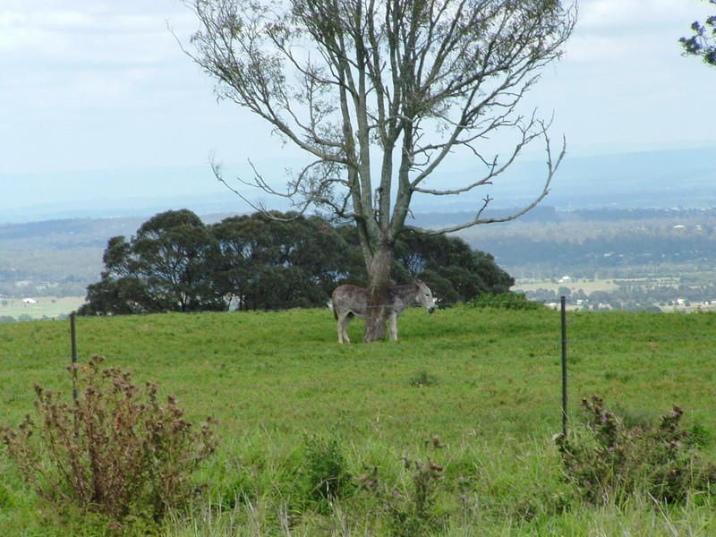 Lot 18 Lark Hill – Boundary Road, Coolana QLD 4311