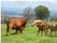 Lot 18 Lark Hill – Boundary Road, Coolana QLD 4311