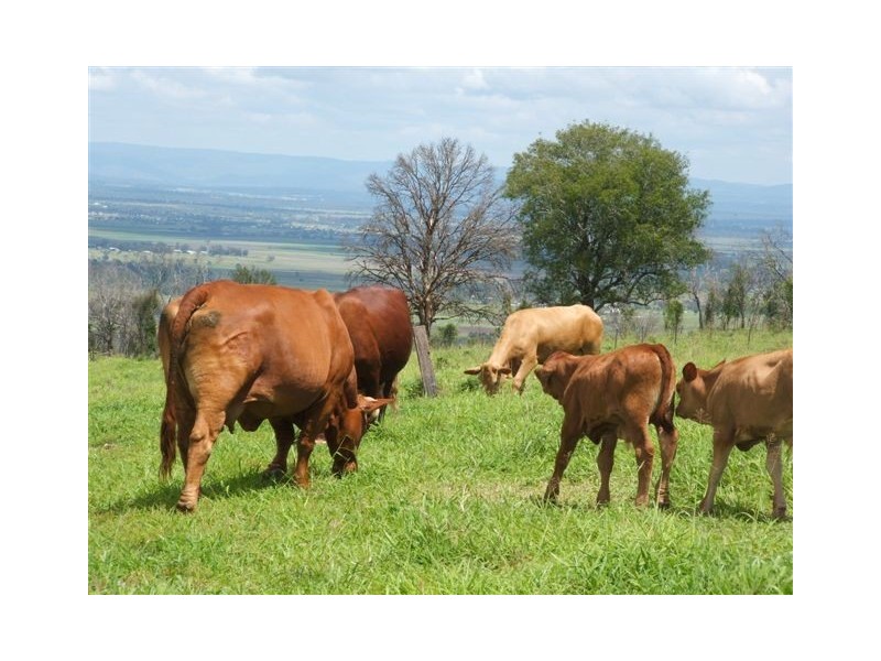 Lot 18 Lark Hill – Boundary Road, Coolana QLD 4311
