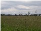 Lowood QLD 4311