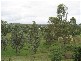 Fernvale QLD 4306
