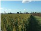Glenore Grove QLD 4342