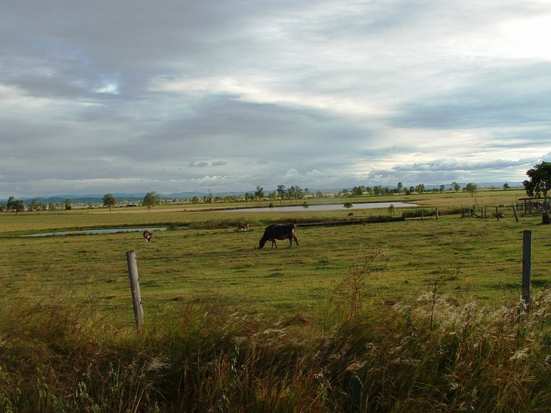 Mount Tarampa QLD 4311