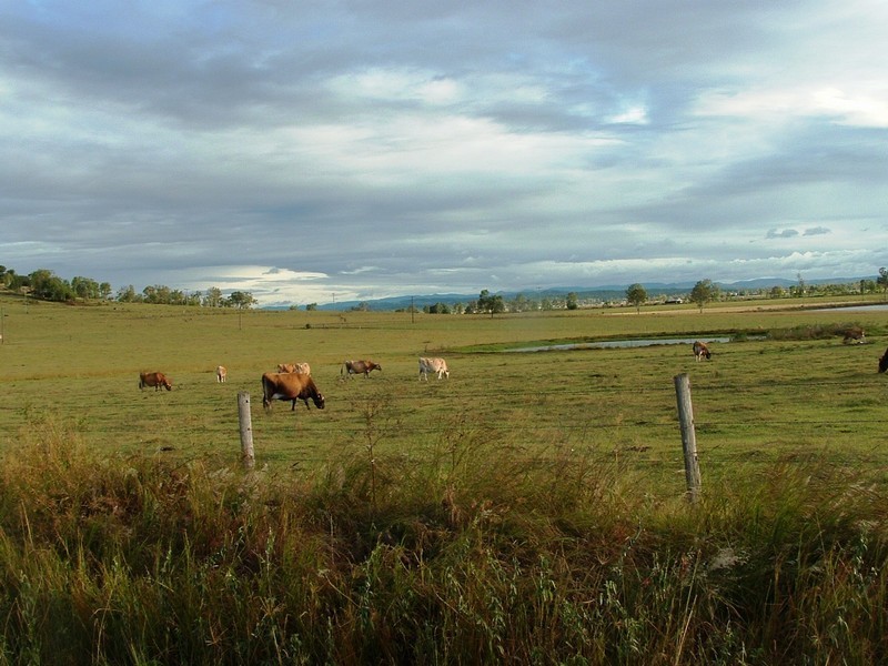 Mount Tarampa QLD 4311
