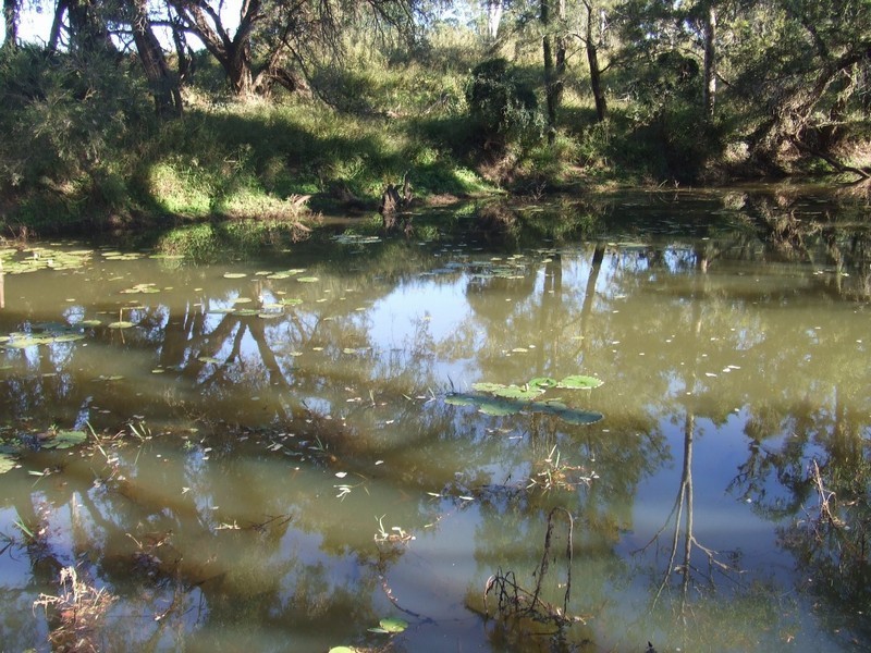 Coominya QLD 4311