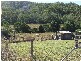 Dundas QLD 4306