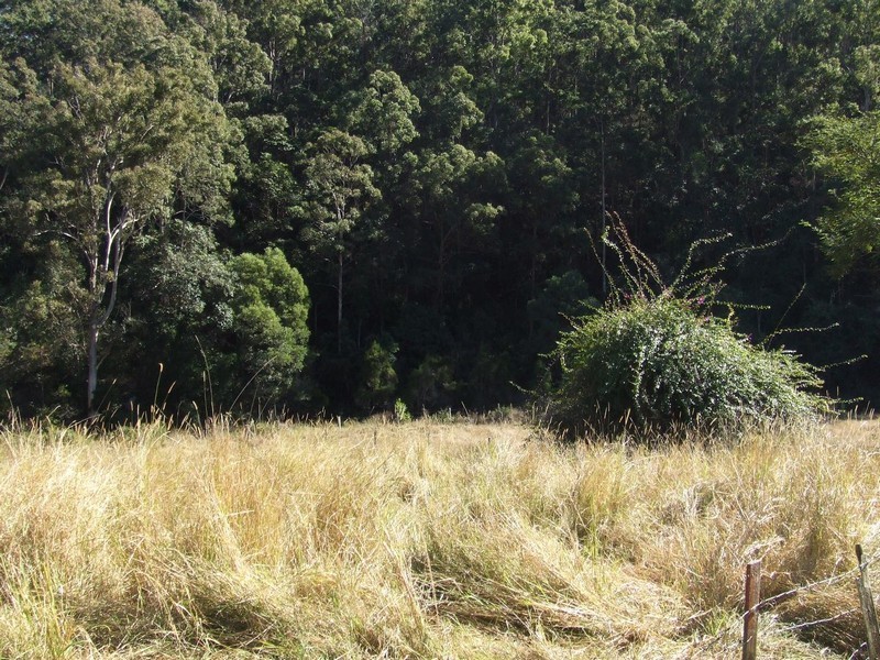 Dundas QLD 4306