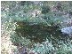 Dundas QLD 4306