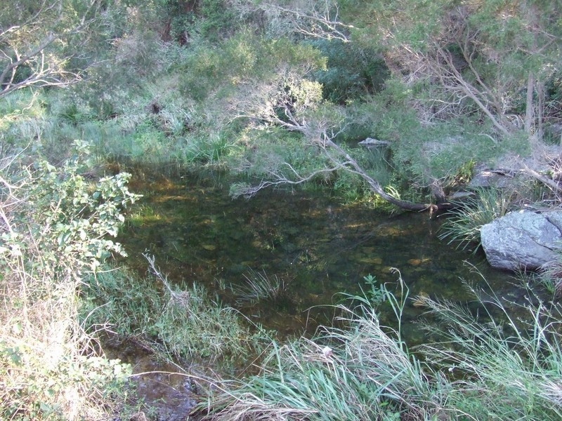 Dundas QLD 4306