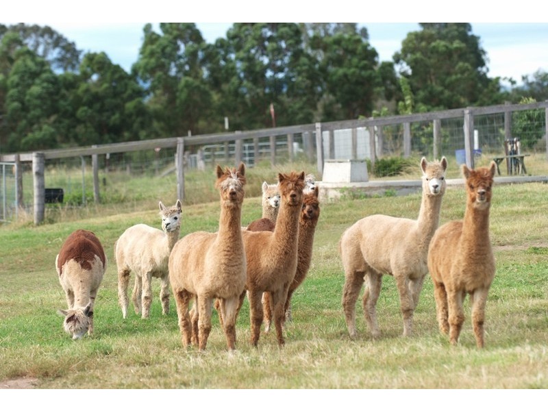 Wivenhoe Pocket QLD 4306