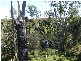 Wivenhoe Pocket QLD 4306