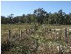 Wivenhoe Pocket QLD 4306