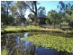 Regency Downs QLD 4341