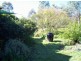 Regency Downs QLD 4341