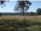 1172 Glamorgan Vale Road, Wanora QLD 4306