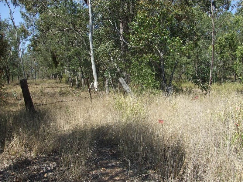 1172 Glamorgan Vale Road, Wanora QLD 4306