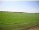 Lake Clarendon QLD 4343