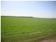 Lake Clarendon QLD 4343