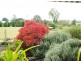 Regency Downs QLD 4341