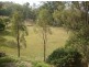 6 Nidus Court, Fernvale QLD 4306