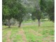 100 Annette Road, Lowood QLD 4311