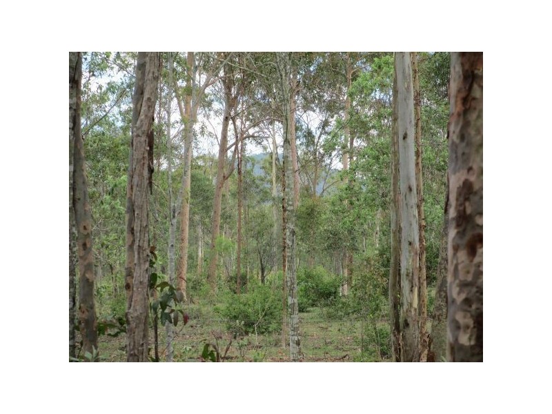 351 Larsens Road, Coominya QLD 4311