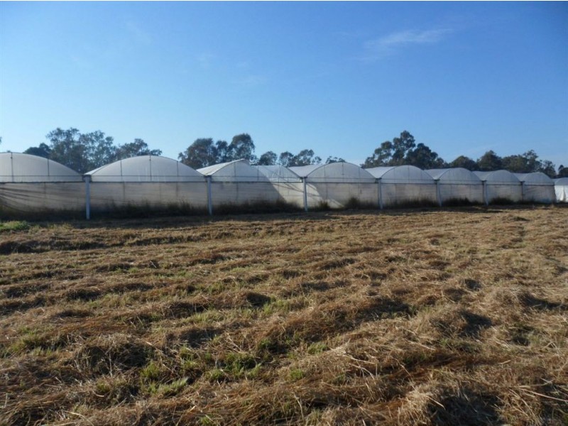 38 Allambie Street, Coominya QLD 4311