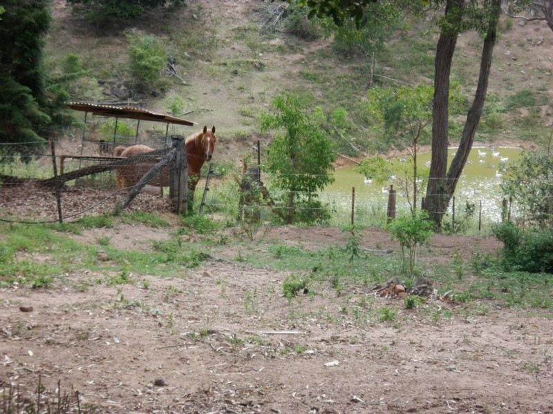 144 Annette Road, Lowood QLD 4311